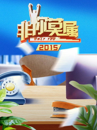 非你莫屬 2015年海報