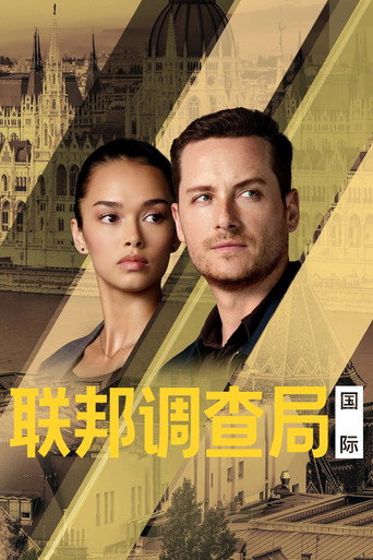 聯邦調查局:國際刑警海報