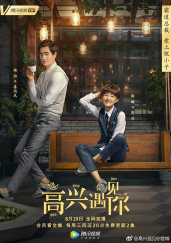 高興遇見你海報