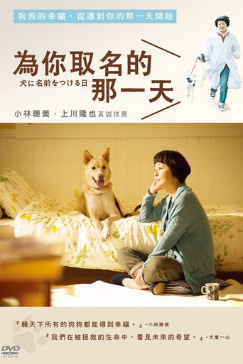 為你取名的那一天海報