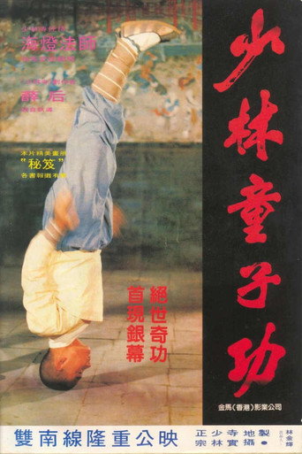 少林童子功海報