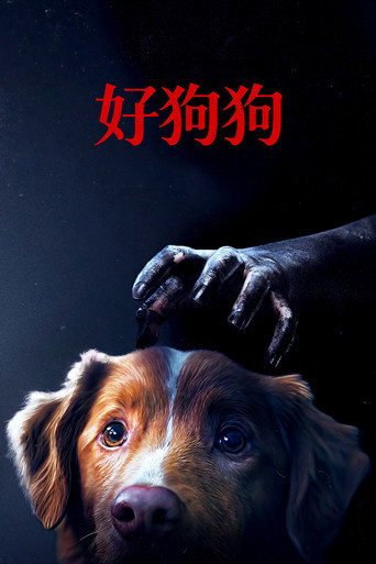 乖狗狗海報