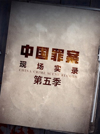 罪案現場實錄 第 5 季海報