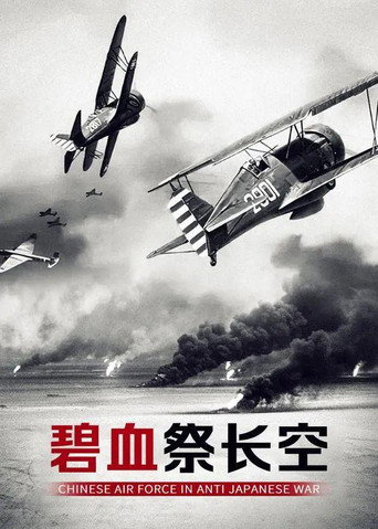 碧血祭長空海報