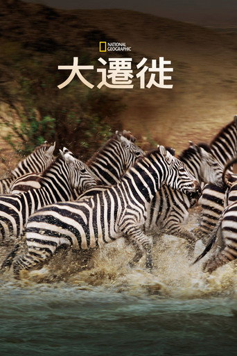 國家地理:大遷徙海報