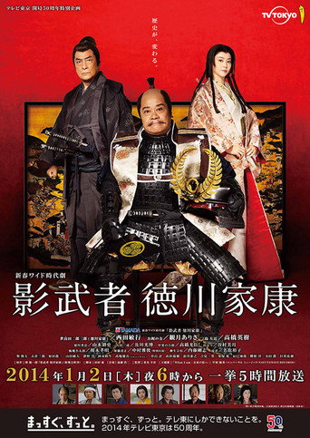 影武者徳川家康海報