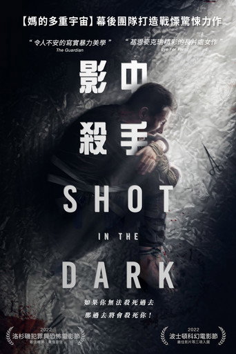 影中殺手海報