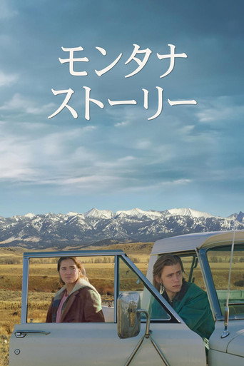 蒙大拿故事海報