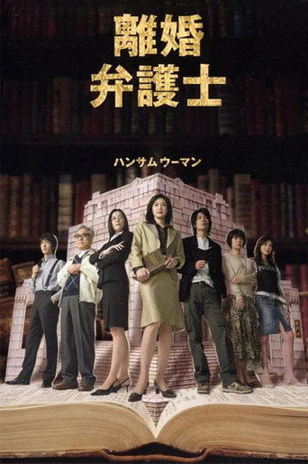 離婚女律師海報