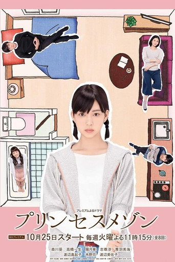 公主小屋海報