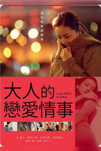 成年人的愛情故事海報