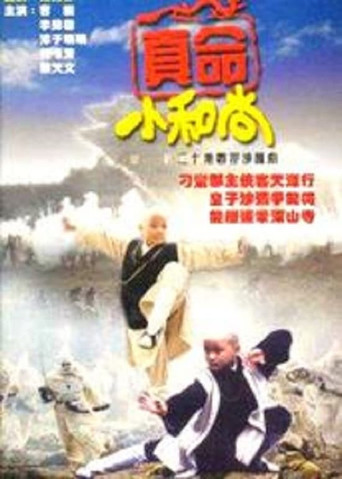 真命小和尚 真命小和尚之無字天書海報