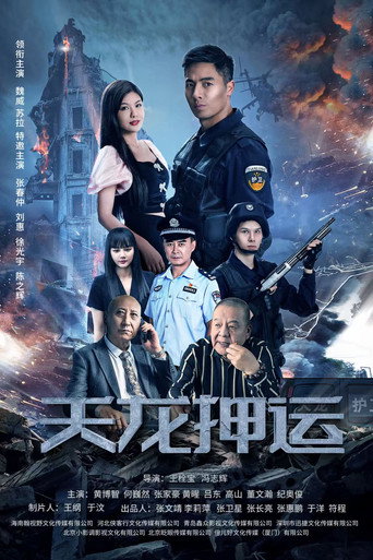 天龍押運海報