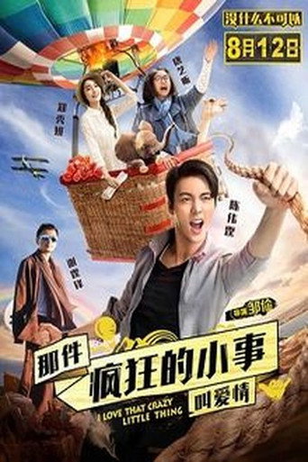 那件瘋狂的小事叫愛情海報