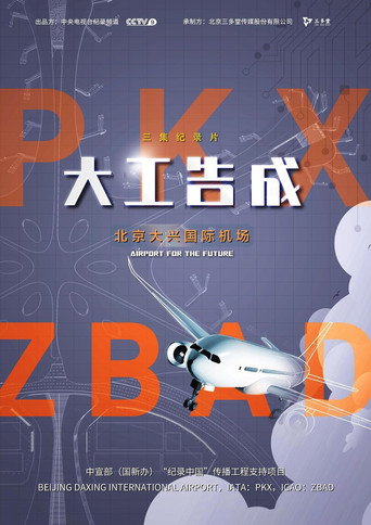 大工告成:北京大興國際機場海報